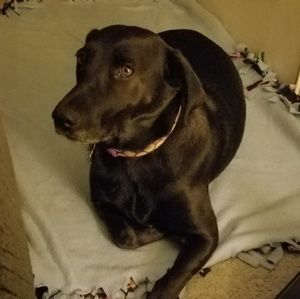 Meet your Posher, Tonya